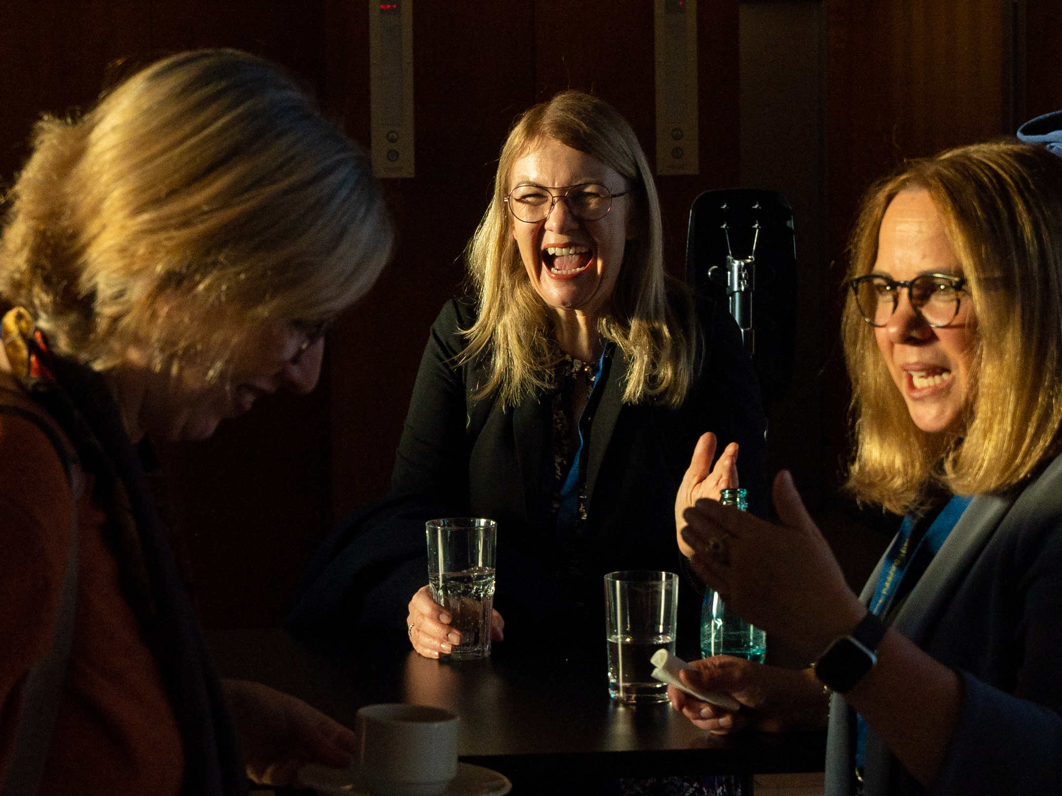 2024 Berlin Institute for website-4